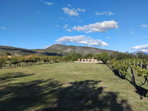 Prodaja, plac, 1520m², Beri, Podgorica - image 4