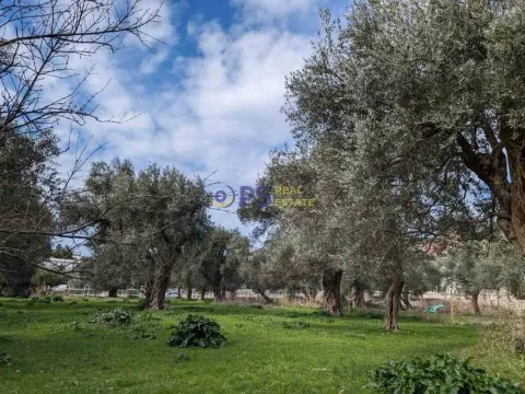 Prodaja, kuća, 267m², Bar, Crna Gora - image 7