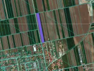 Prodaja, plac, 10000m², Surčin, Beograd - image 1