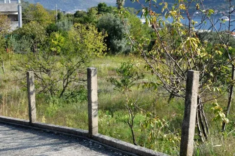 Pogled na zeleno dvorište sa stablima i ogradom. - image 7