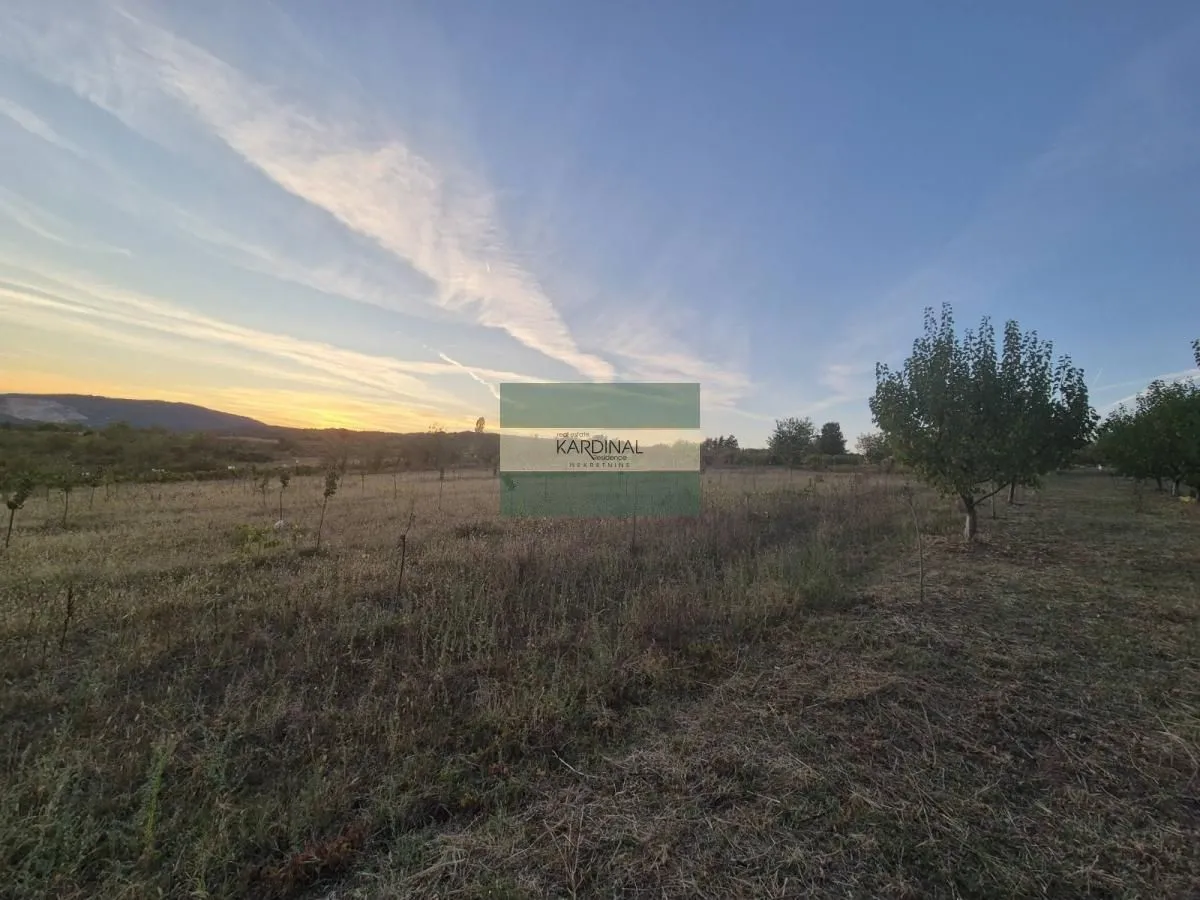 Prodaja, plac, 27920m², Siokovac, Jagodina