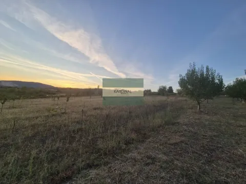 Prodaja, plac, 27920m², Siokovac, Jagodina - image 9