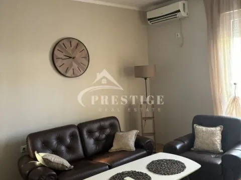 Izdavanje, jednosoban stan, 49m², Zagorič, Podgorica - image 4