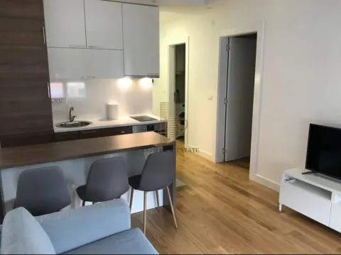 Izdavanje, dvosoban stan, 43m², Južni Bulevar, Vračar Sve Podlokacije