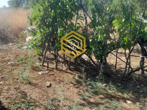 Prodaja, plac, 6348m², Ostalo, Podgorica - image 8