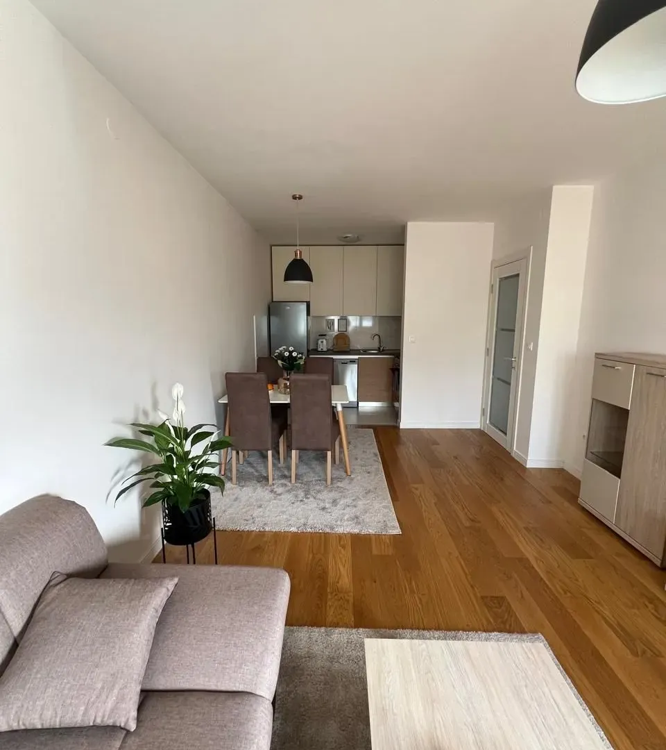 Izdavanje, jednosoban stan, 49m², Central Point, Podgorica