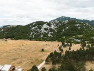 Sale, land lot, 39020m², Grahovo, Nikšić - image 1