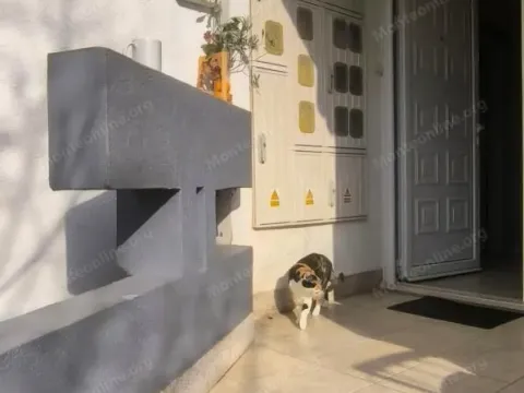 Prodaja, dvosoban stan, 54m², Dobrota, Kotor - image 18