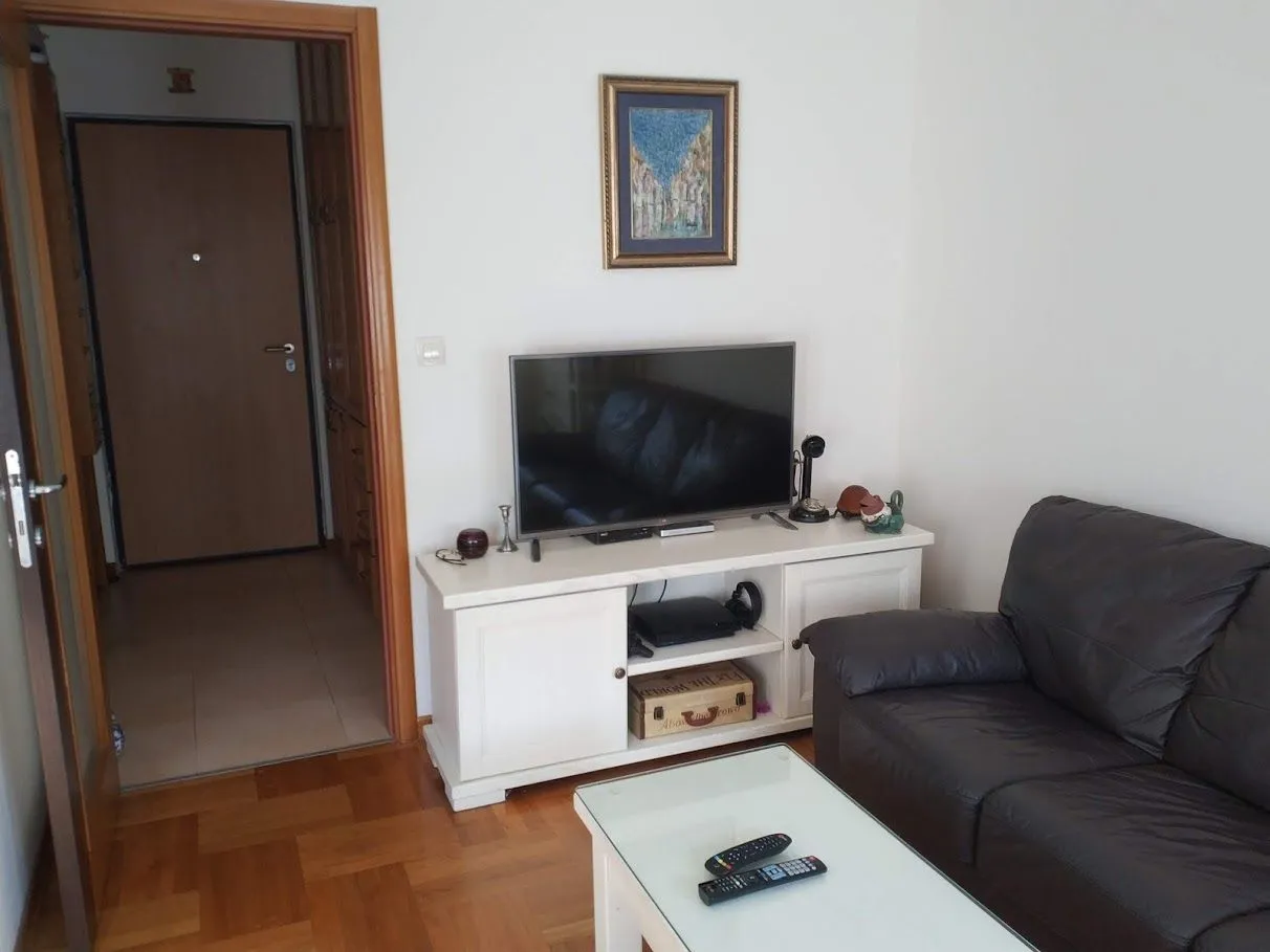 Dnevna soba sa kožnim kaučem, televizorom na komodi i klub stolom.