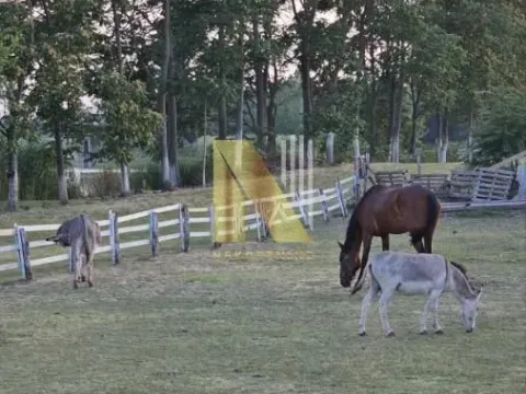 Sale, house, 230m², Srbobran, Novi Sad - image 62