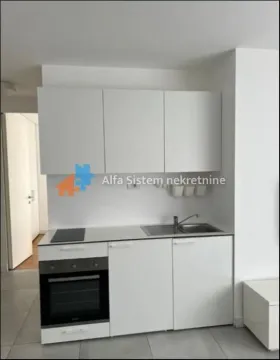 Izdavanje, dvosoban stan, 42m², Vračar Sve Podlokacije, Beograd - image 8
