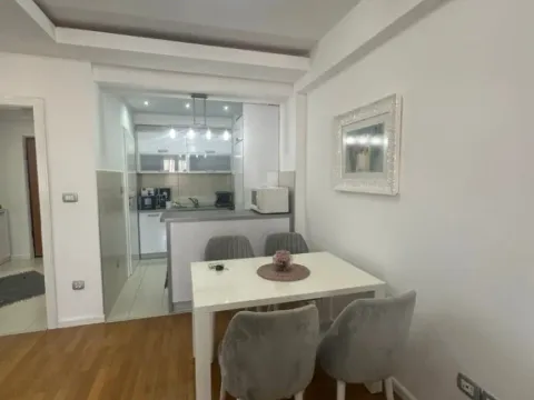 Izdavanje, jednosoban stan, 58m², Stari Aerodrom, Podgorica - image 12