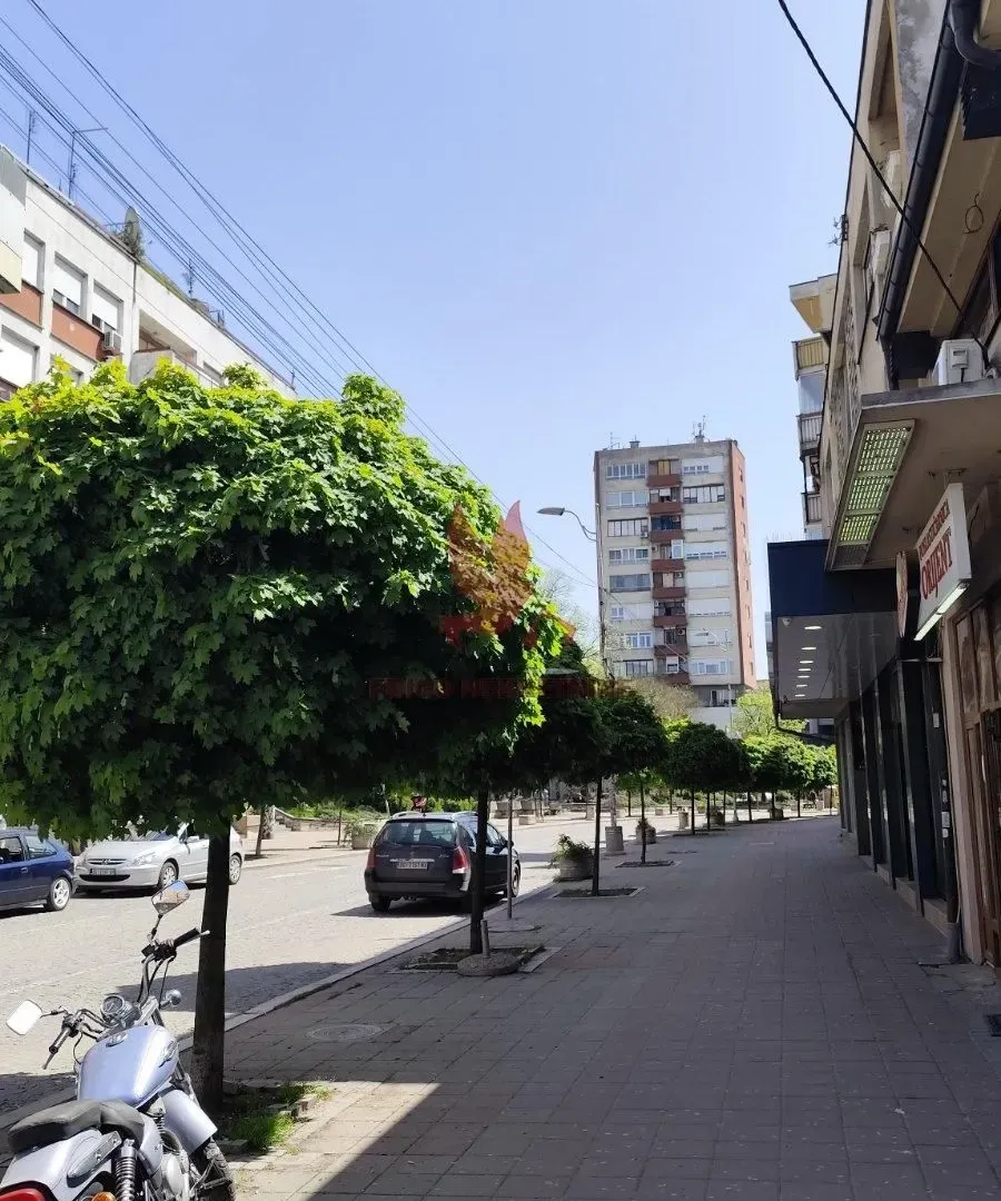 Izdavanje, dvosoban stan, 40m², Mladenovac, Beograd