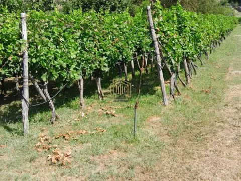 Prodaja, kuća, 212m², Martinići, Danilovgrad - image 5