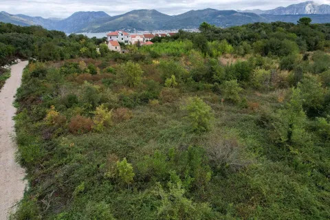 Prostrani plac prekriven zelenilom sa pogledom na planine u daljini. - image 13