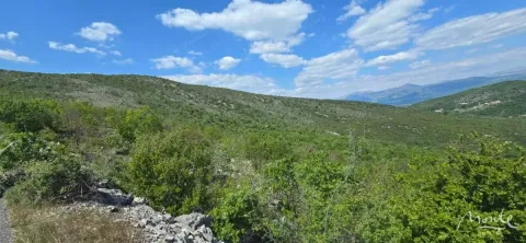 Prodaja, plac, 94785m², Beri, Podgorica - image 2