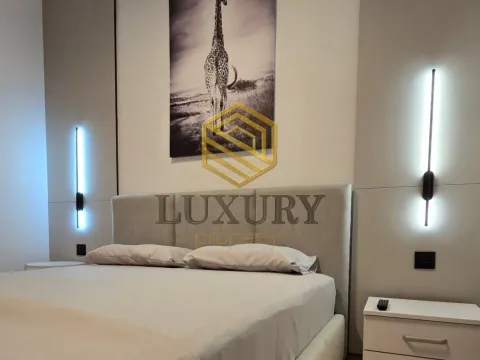 Izdavanje, jednosoban stan, 46m², Dalmatinska ulica, Podgorica - image 2