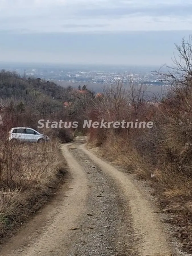 Prodaja, plac, 14994m², Ledinci, Petrovaradin