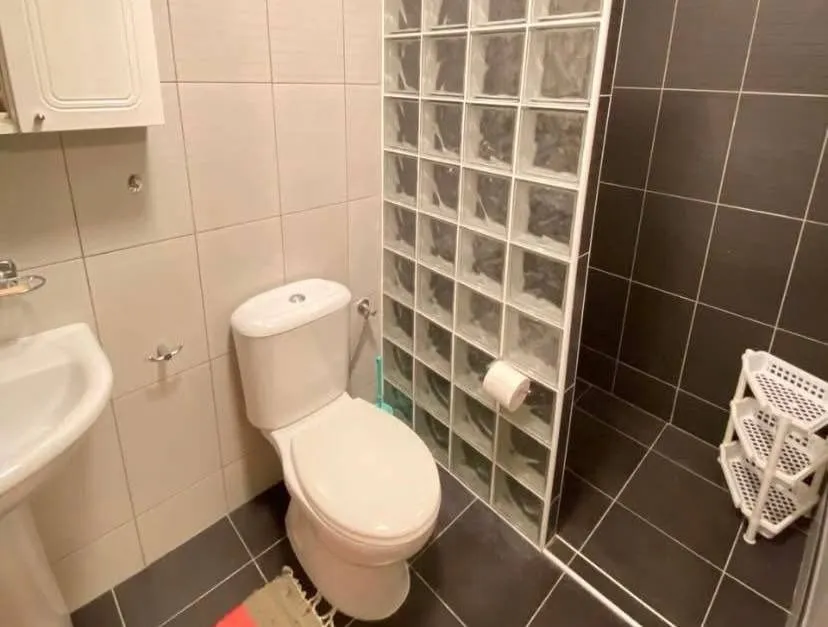 Kupatilo sa toaletom, umivaonikom i tuš kabinom odvojenom staklenim blokovima.