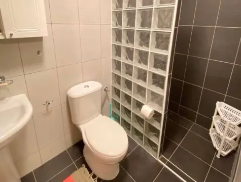 Kupatilo sa toaletom, umivaonikom i tuš kabinom odvojenom staklenim blokovima. - image 6