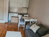 Izdavanje, jednosoban stan, 40m², Zabjelo, Podgorica - image 3