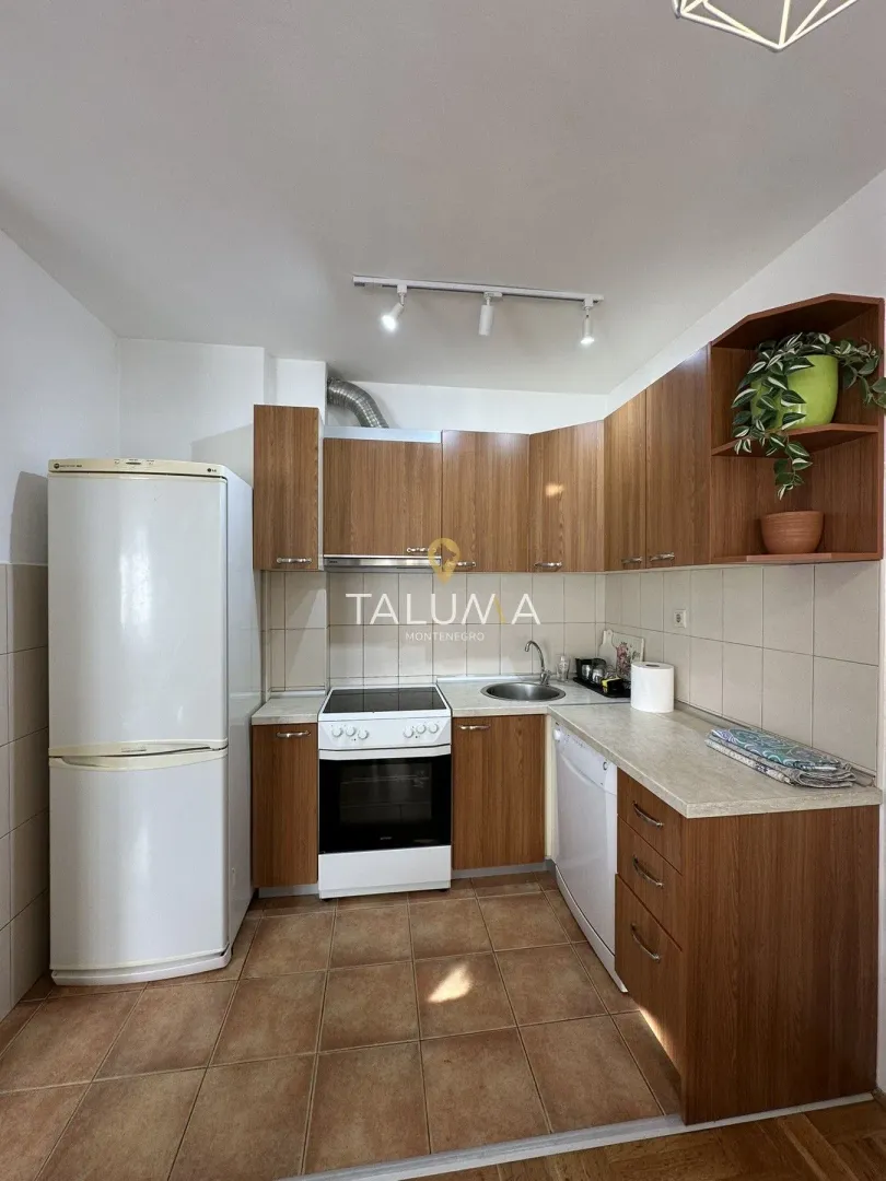 Rent, one bedroom apartment, 38m², Zagorič, Podgorica