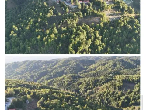 Prodaja, plac, 5000m², Kraljevi Čardaci, Kopaonik - image 4
