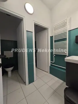 Izdavanje, poslovni prostor, 296m², Palilula Sve Podlokacije, Beograd - image 13