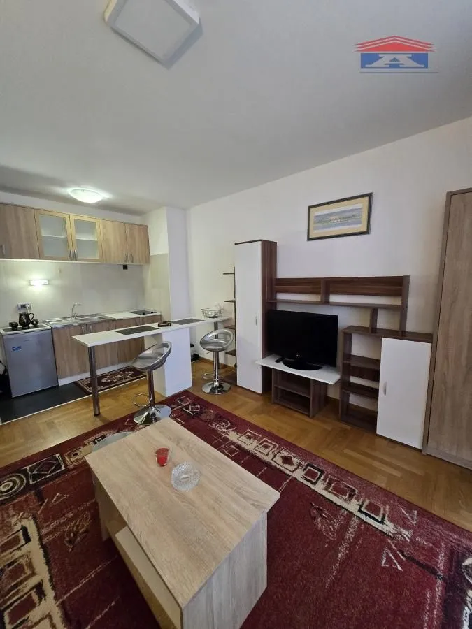 Izdavanje, garsonjera, 30m², Cara Dušana, Novi Sad Sve Podlokacije