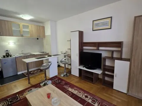 Izdavanje, garsonjera, 30m², Cara Dušana, Novi Sad Sve Podlokacije - image 4