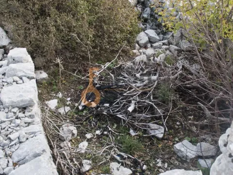 Prodaja, plac, 4307m², Cetinje, Crna Gora - image 19