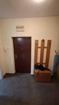 Rent, one bedroom apartment, 40m², Sajmište, Novi Sad - image 7