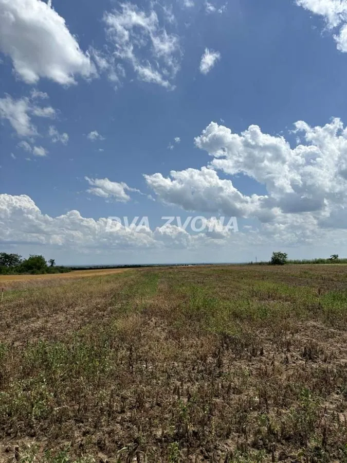Prodaja, plac, 1000m², Čortanovci, Inđija