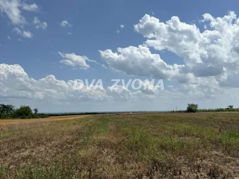 Prodaja, plac, 1000m², Čortanovci, Inđija - image 10