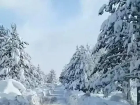 Prodaja, plac, 500m², Podgorica, Crna Gora - image 7