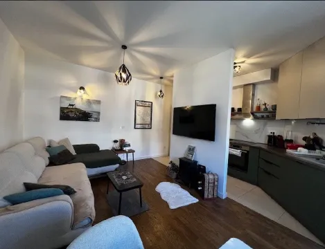 Prodaja, jednosoban stan, 44m², Zagorič, Podgorica - image 4