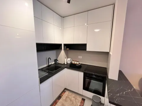 Rent, one bedroom apartment, 42m², Central Point, Podgorica - image 5