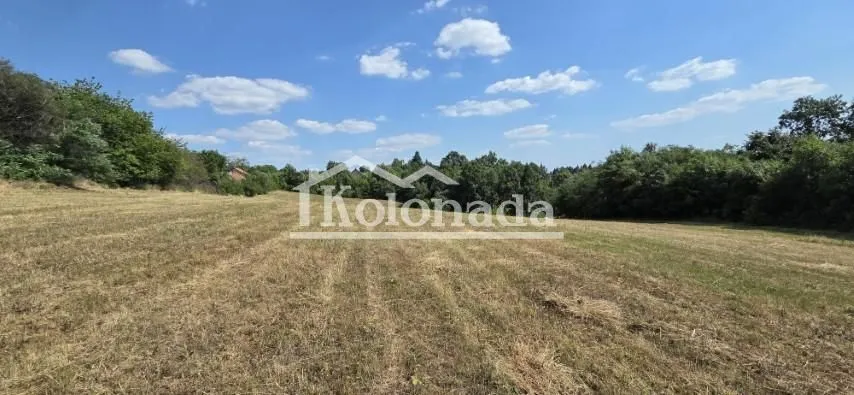 Sale, land lot, 8200m², Babe, Sopot
