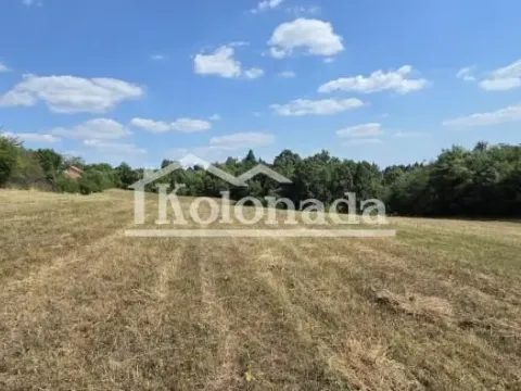 Sale, land lot, 8200m², Babe, Sopot - image 3