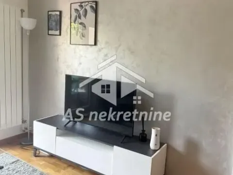 Izdavanje, dvosoban stan, 54m², Južni Bulevar, Vračar Sve Podlokacije - image 5