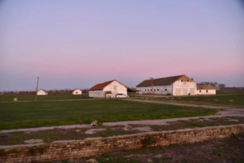 Prodaja, plac, 98000m², Vrbas, Novi Sad