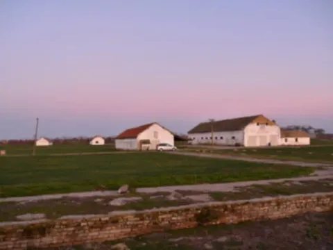 Prodaja, plac, 98000m², Vrbas, Novi Sad - image 5