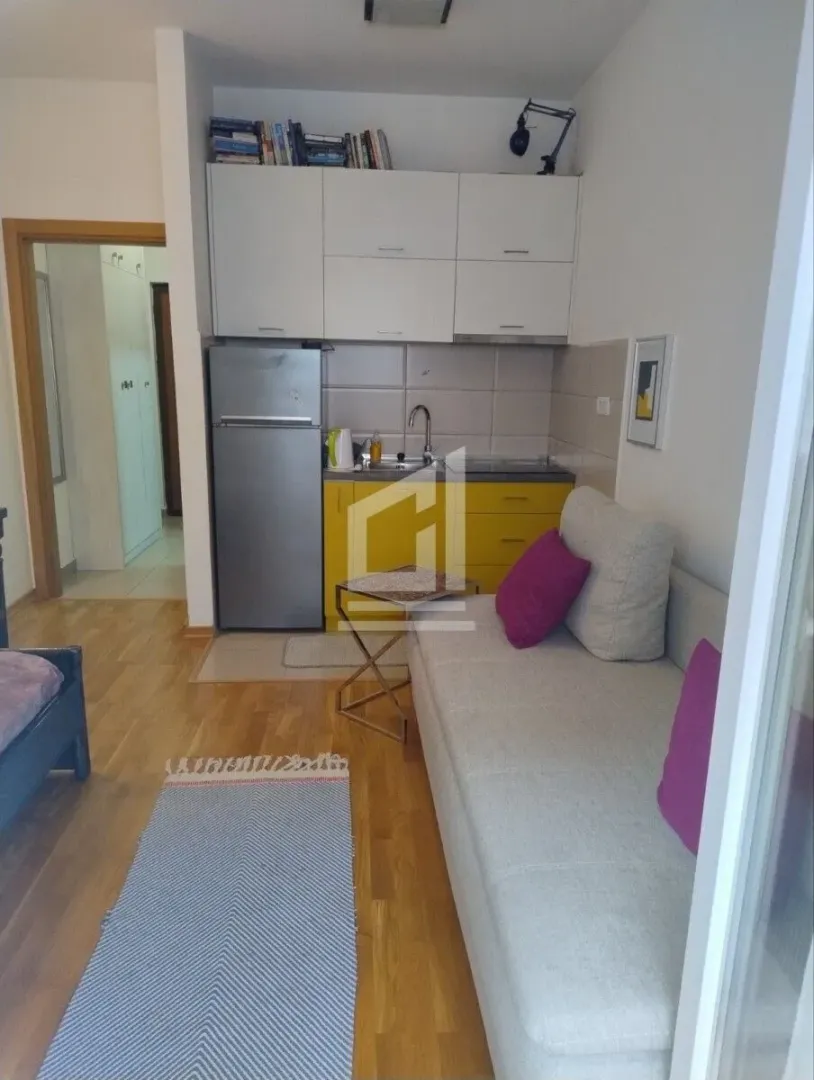 Small living room with a sofa and a compact kitchenette.