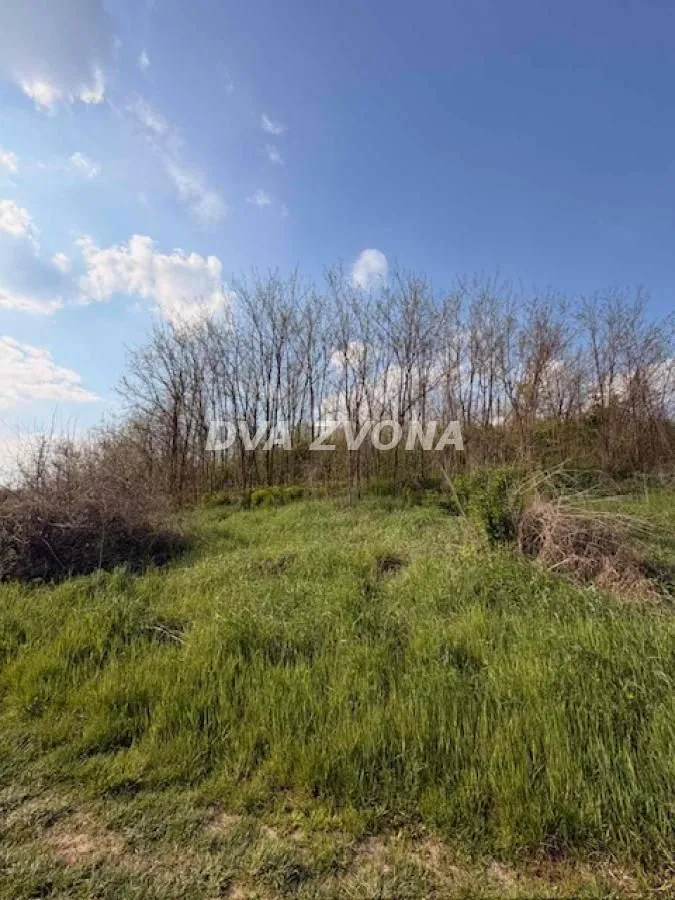 Prodaja, plac, 3500m², Čortanovci, Inđija