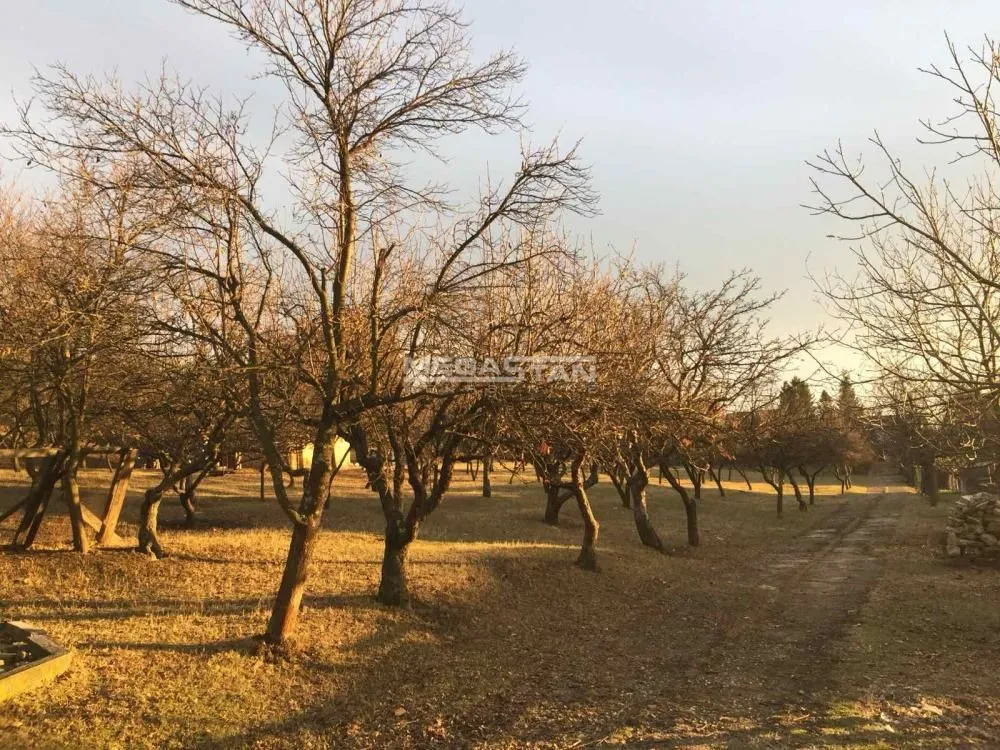 Prodaja, plac, 10000m², Boleč, Grocka