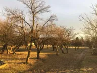 Prodaja, plac, Boleč, Grocka - image 4