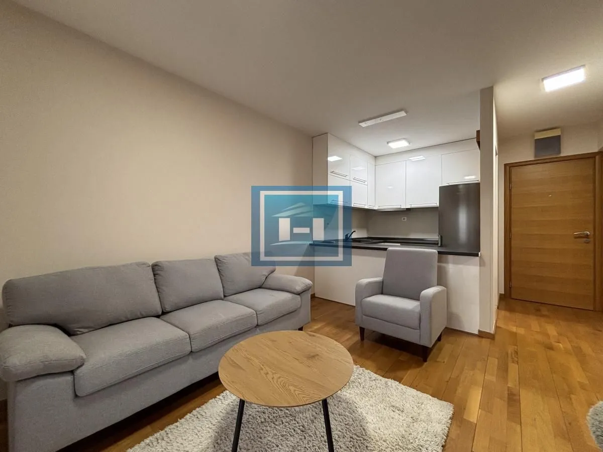 Izdavanje, jednosoban stan, 42m², Centar, Jagodina