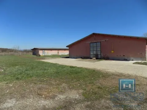 Sale, office space, 16723m², Boljevac, Srbija - image 43