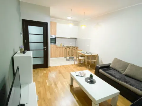Rent, one bedroom apartment, 43m², Zabjelo, Podgorica - image 12