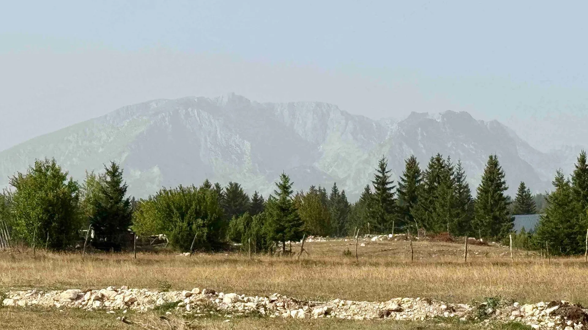 Pogled sa nekretnine na planinski pejzaž i šumu.